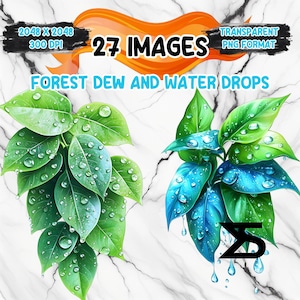 Forest Dew And Water Drops watercolor clipart png bundle transparent botanical leaves dew drops floral accents instant download for crafts