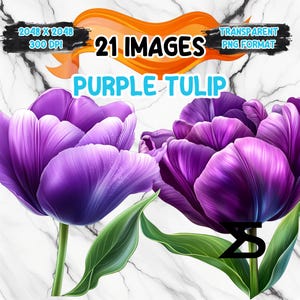 Aquarel paarse tulp PNG-afbeelding op transparante achtergrond, digitale sticker/scrapbooking, commercieel gebruik, instant digitale download