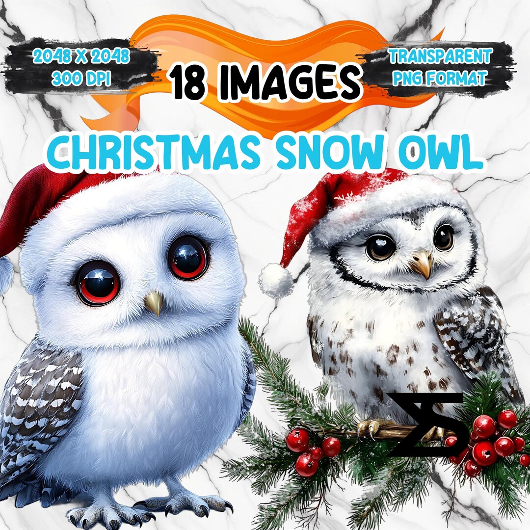 18 Watercolor Christmas Snow Owl Clipart , Snow Owl Clipart PNG