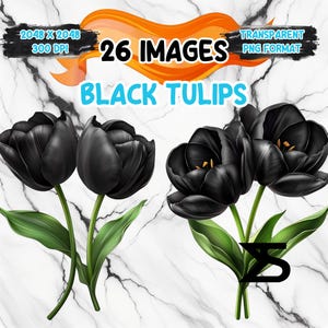 Aquarel zwarte tulpen PNG-afbeelding op transparante achtergrond, digitale sticker/scrapbooking, commercieel gebruik, instant digitale download
