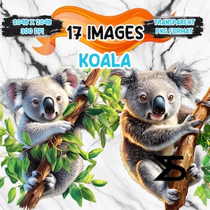 17 Watercolor Koala Clipart , Koala clipart PNG, Clipart bundle, commercial use, digital download, instant download