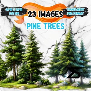 Immagine PNG di pino ad acquerello con sfondo trasparente, bundle di clipart di pino, uso commerciale, download digitale, download immediato