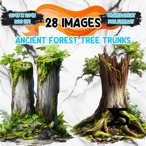 May include: Digital art featuring three ancient forest tree trunks. The trunks are weathered and covered in moss and greenery. The image includes text that reads "28 IMAGES", "ANCIENT FOREST TREE TRUNKS", and other details.