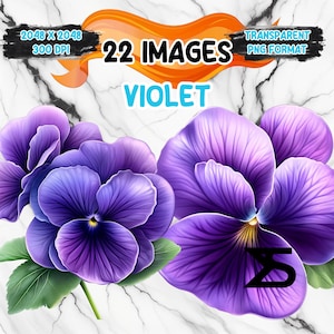 Immagine PNG viola acquerello su sfondo trasparente, adesivo digitale/scrapbooking, uso commerciale, download digitale istantaneo