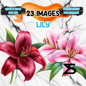 Imagem PNG de lírio aquarela, pacote de clipart de primavera, uso comercial, download digital, download instantâneo