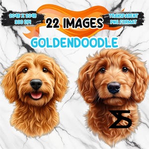 Ritratto di goldendoodle ad acquerello Immagine PNG con sfondo trasparente, bundle Clipart, uso commerciale, download digitale, download immediato