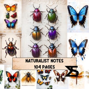 Könnte beinhalten: Eine Collage von farbenfrohen Insektenillustrationen, darunter Schmetterlinge und Käfer, auf einem Hintergrund im Vintage-Stil. Das Bild zeigt den Text "Naturalist Notes" und "104 Pages" auf einem Banner.