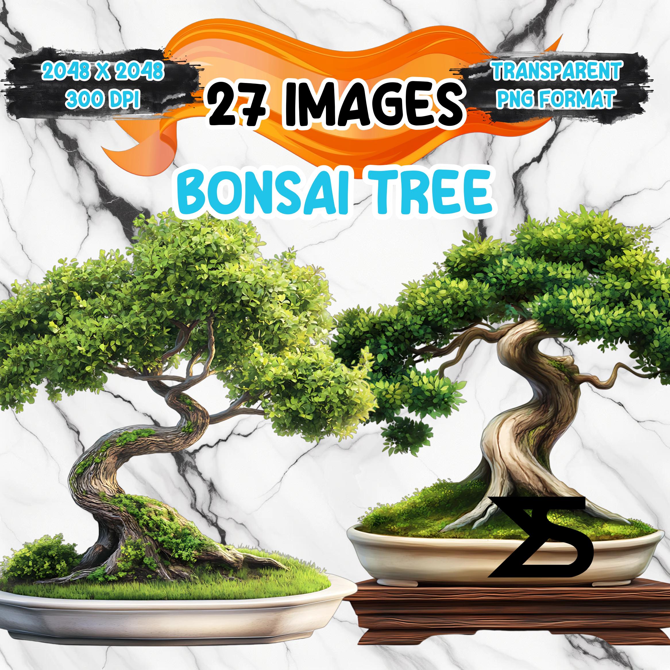 Watercolor Bonsai Tree PNG Image on Transparent Background, Digital  Sticker/scrappbooking, Commercial Use, Instant Digital Download - Etsy  Israel