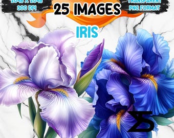 Watercolor Iris PNG Image on transparent background, digital Sticker/Scrappbooking , commercial use, instant digital download