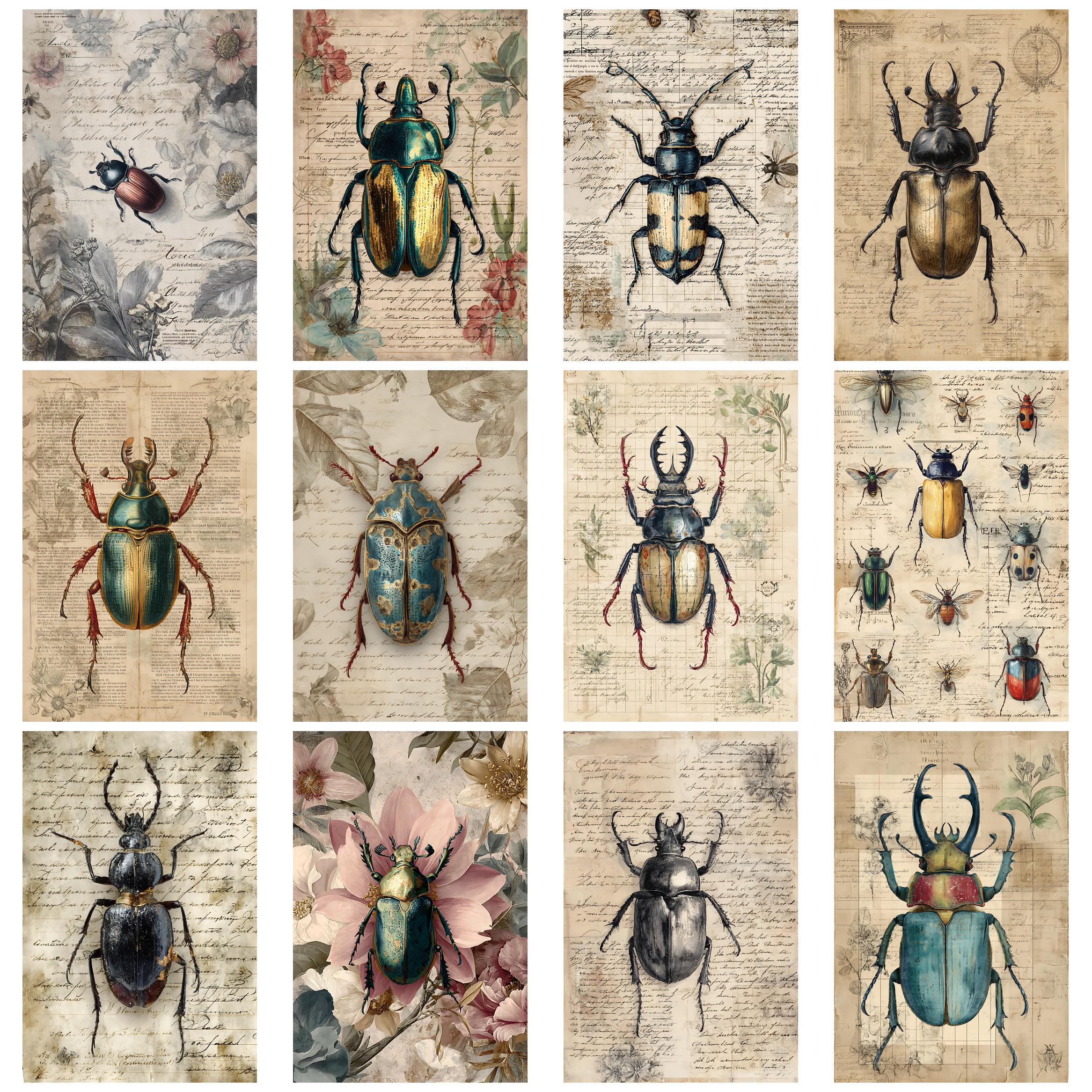 Vintage Beetles and Bugs Vintage Insect Ephemera Pack for Junk Journals ...