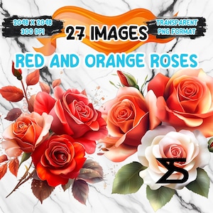 Watercolor Red And Orange Roses PNG Image on transparent background, digital Sticker/Scrappbooking, commercial use, instant digital download