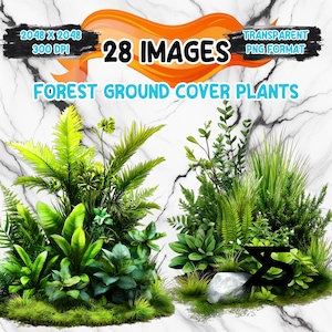 May include: An image featuring two clusters of vibrant green forest ground cover plants. The image includes text that reads "28 IMAGES" and "FOREST GROUND COVER PLANTS". The image is in a transparent PNG format.