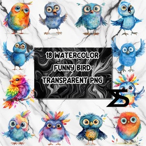 18 Whimsical Birds Clipart, Funny Birds, Cute Fluffy Birds, pacote de clipart, uso comercial, download digital, download instantâneo