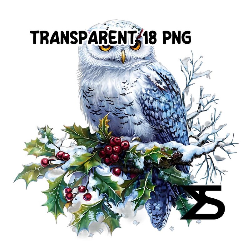 18 Watercolor Christmas Snow Owl Clipart , Snow Owl Clipart PNG