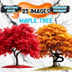 Könnte beinhalten: 25 Bilder von Ahornbäumen in verschiedenen Rot- und Orangetönen. Die Bäume sind auf weißem Hintergrund isoliert. Der Text "25 IMAGES" und "MAPLE TREE" wird über den Bildern angezeigt. Der Text "TRANSPARENT PNG FORMAT" wird in der oberen rechten Ecke angezeigt.