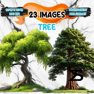 May include: 23 images of trees in a transparent PNG format. The images are 2048 x 2048 pixels and 300 DPI. The trees are green and brown and are set against a white marble background.