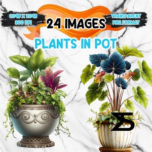 Könnte beinhalten: Digitale Illustration mit zwei Topfpflanzen mit üppigem grünen und violetten Laub. Das Bild enthält den Text "24 IMAGES" und "PLANTS IN POT". Der Hintergrund ist ein Marmormuster.