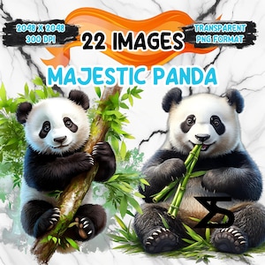 Immagine PNG di acquerello maestoso panda, bundle di clipart panda, uso commerciale, download digitale, download immediato