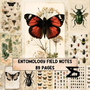May include: A collection of 89 pages titled ENTOMOLOGY FIELD NOTES featuring vintage-style illustrations of butterflies, beetles, bees, and various insects on aged paper backgrounds with botanical elements and handwritten script textures.