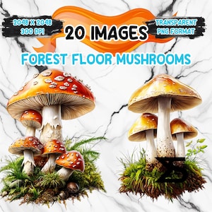 May include: Digital artwork showcasing two mushroom illustrations. The mushrooms have orange and white caps with white stems, set against green moss and a marble-effect background. Text includes "20 IMAGES", "FOREST FLOOR MUSHROOMS", and "TRANSPARENT PNG FORMAT".