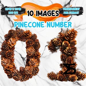 Könnte beinhalten: Bild mit den Ziffern "0" und "1" aus braunen Tannenzapfen. Der Hintergrund ist weißer Marmor. Der Text enthält "10 IMAGES", "PINE CONE NUMBER" und "TRANSPARENT PNG FORMAT".