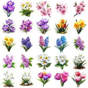 Frühling Clipart Bundle, Instant Download, kommerzielle Nutzung, Planer, Sticker