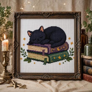 May include: A cross-stitch embroidery in a dark ornate frame featuring a black cat sleeping on a stack of two books. The top book is purple with gold moon and star details, and the bottom book is green with gold stars, surrounded by green leaves.
