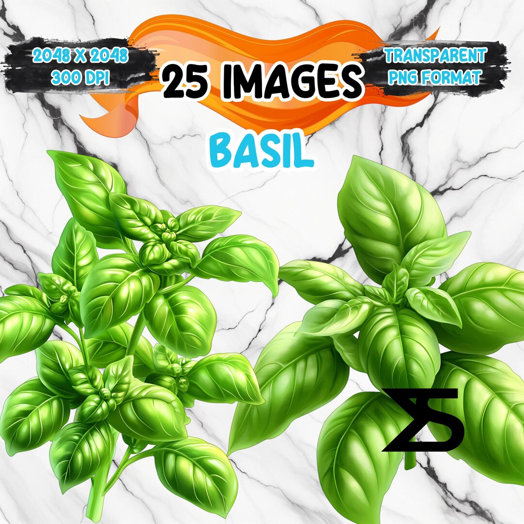 Watercolor Basil PNG Image on Transparent Background, Digital Sticker ...