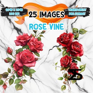 May include: Digital image featuring red rose vines with green leaves and buds against a white marble background. The image includes text that reads "25 IMAGES" and "ROSE VINE". The image is labeled as "TRANSPARENT PNG FORMAT".