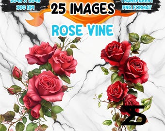 Watercolor Rose Vine PNG Image on transparent background, digital Sticker/Scrappbooking, commercial use, instant digital download
