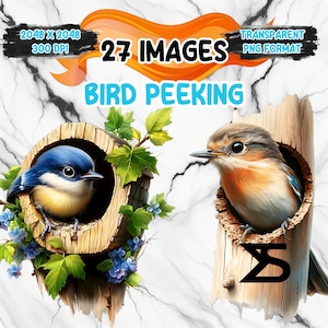 Watercolor bird peeking PNG Image, bird Clipart bundle, commercial use, digital download, instant download