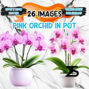 May include: Two pink orchid plants in white pots. The orchids have multiple pink flowers with purple centers and green leaves. The image includes the text "26 IMAGES" and "PINK ORCHID IN POT". The background is a white marble pattern.