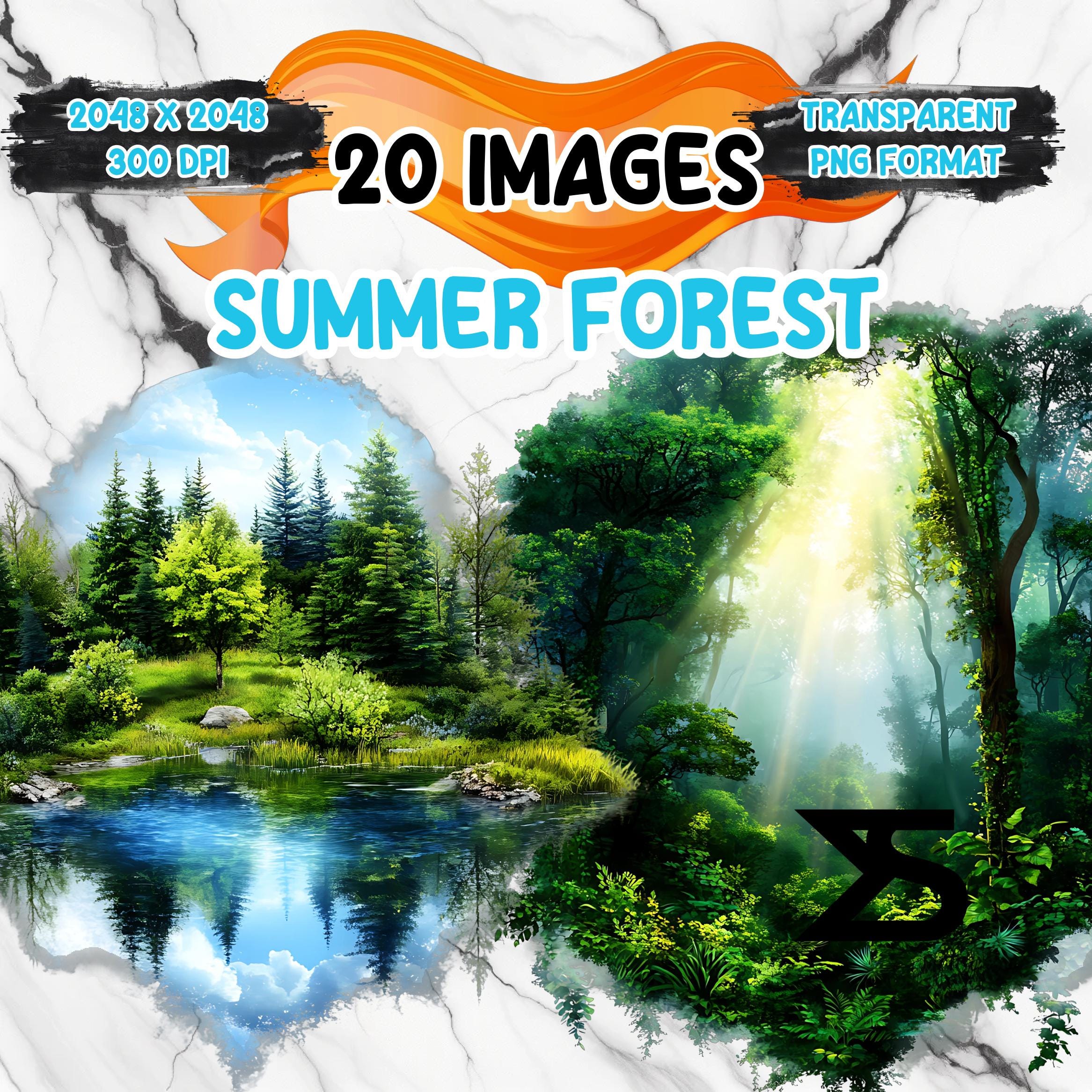 Watercolor summer forest Landscape PNG Image with transparent background, Clipart bundle, commercial use, digital download, instant download
