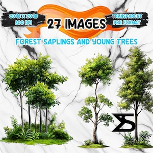 May include: Digital art featuring 27 images of forest saplings and young trees in PNG format. The images are set against a white marble background. The text includes "2048 X 2048", "300 DPI", and "TRANSPARENT PNG FORMAT".