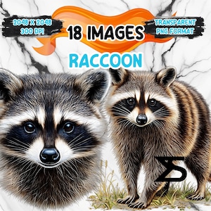 18 Raton laveur aquarelle, lot de cliparts raton laveur, usage commercial, téléchargement numérique, téléchargement immédiat