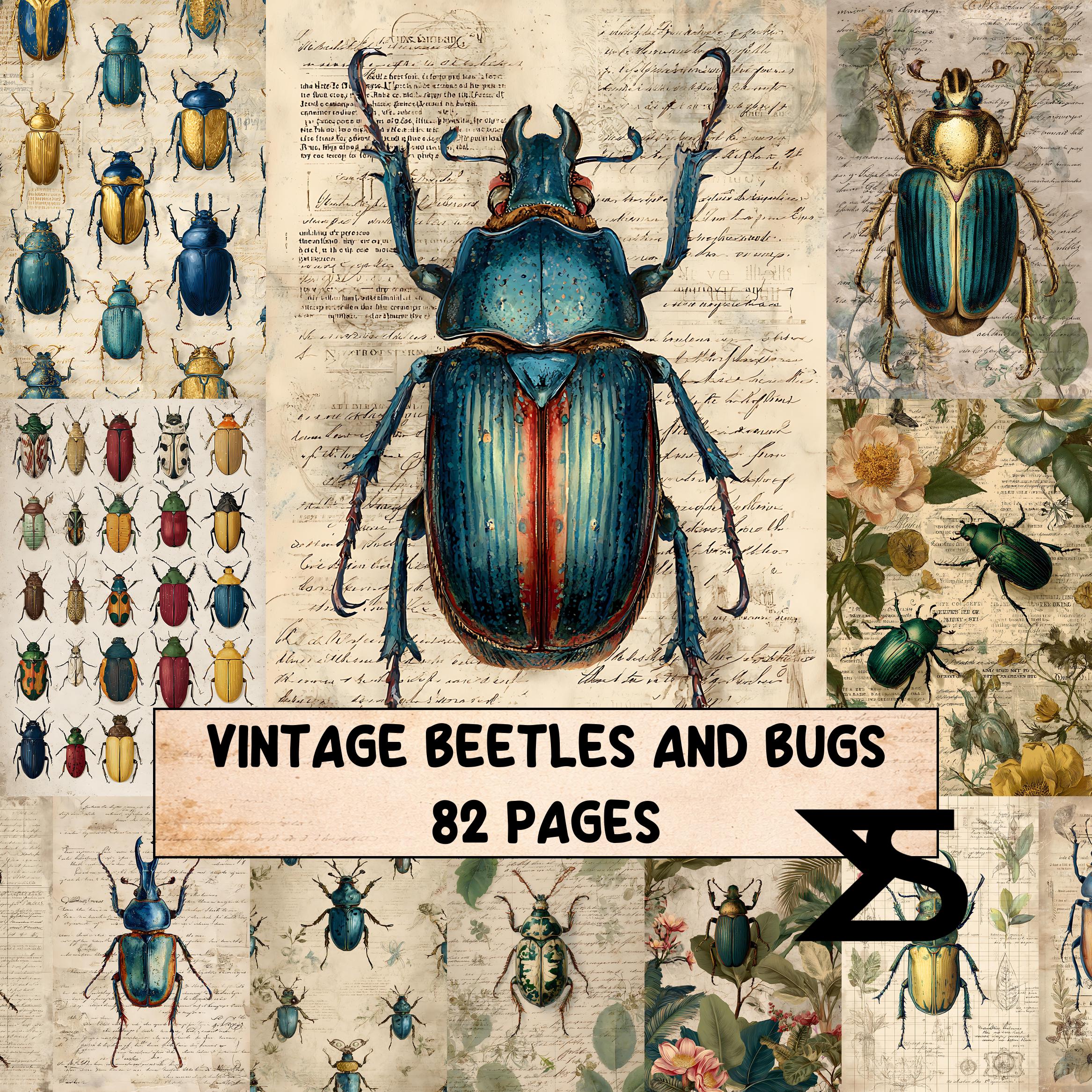 Vintage Beetles and Bugs Vintage Insect Ephemera Pack for Junk Journals ...