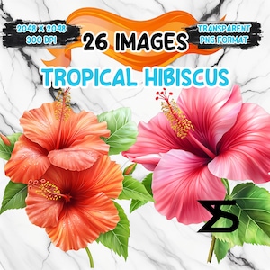 Hibiskus Clipart Bundle, Instant Download, kommerzielle Nutzung, Planer, Sticker