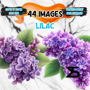 Image PNG aquarelle lilas sur fond transparent, sticker numérique/Scrappbooking, usage commercial, téléchargement numérique instantané