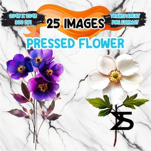 Image PNG de fleurs pressées aquarelle sur fond transparent, autocollant numérique/Scrappbooking, usage commercial, téléchargement numérique instantané