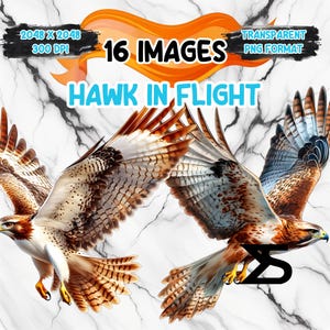 Imagem PNG de falcão em voo em aquarela em fundo transparente, adesivo digital/álbum de recortes, uso comercial, download digital instantâneo