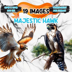 Könnte beinhalten: Eine digitale Illustration von 19 Bildern eines majestätischen Habichts mit braunen, weißen und schwarzen Federn. Der Habicht sitzt auf einem Ast mit grünen Kiefernnadeln. Der Text "19 BILDER" und "TRANSPARENT PNG FORMAT" wird in der oberen rechten Ecke des Bildes angezeigt.