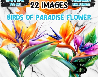 Imagem PNG de flor Ave-do-Paraíso em aquarela com fundo transparente, ideal para adesivos digitais/scrappbooking e uso comercial.