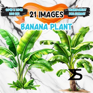 Image PNG de bananier aquarelle sur fond transparent, sticker numérique/Scrappbooking, usage commercial, téléchargement numérique instantané