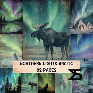 Könnte beinhalten: Eine Collage von Bildern mit Nordlichtern, arktischen Tieren und Landschaften. Das zentrale Bild zeigt einen Elch, der im Wasser steht. Der Text "NORTHERN LIGHTS ARCTIC" und "92 PAGES" ist auf einem Banner zu sehen.