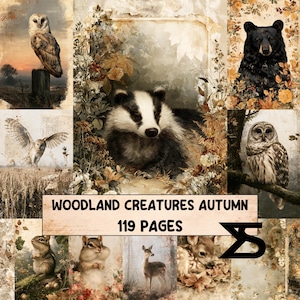 Peut inclure: Un collage d'animaux des bois comprenant un blaireau, des hiboux, un ours, un tamia et un cerf sur fond de feuillage d'automne. Le texte WOODLAND CREATURES AUTUMN 119 PAGES est imprimé sur une bannière rectangulaire au centre en bas.
