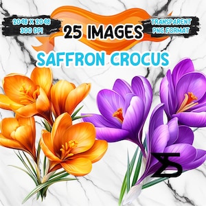 May include: 25 images of saffron crocus flowers, with orange and purple blooms. The flowers are depicted against a white marble background.  The text "25 IMAGES" and "SAFFRON CROCUS" is displayed in the image.