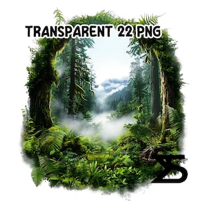 May include: A lush green forest scene with tall trees and fog. The trees are covered in moss and ferns. The fog is thick and white, and it creates a mysterious and ethereal atmosphere.