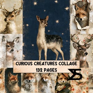 Curious Creatures Collage vintage ephemera junk journal set printable collage blaetter botanische insekten papier ephemera bastelmaterial