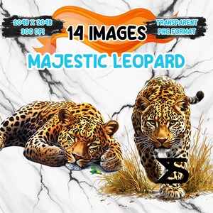 May include: Two images of a majestic leopard. One leopard is lying down with its head resting on its paws. The other leopard is standing and looking directly at the camera. Both leopards have a spotted coat and are set against a white marble background.