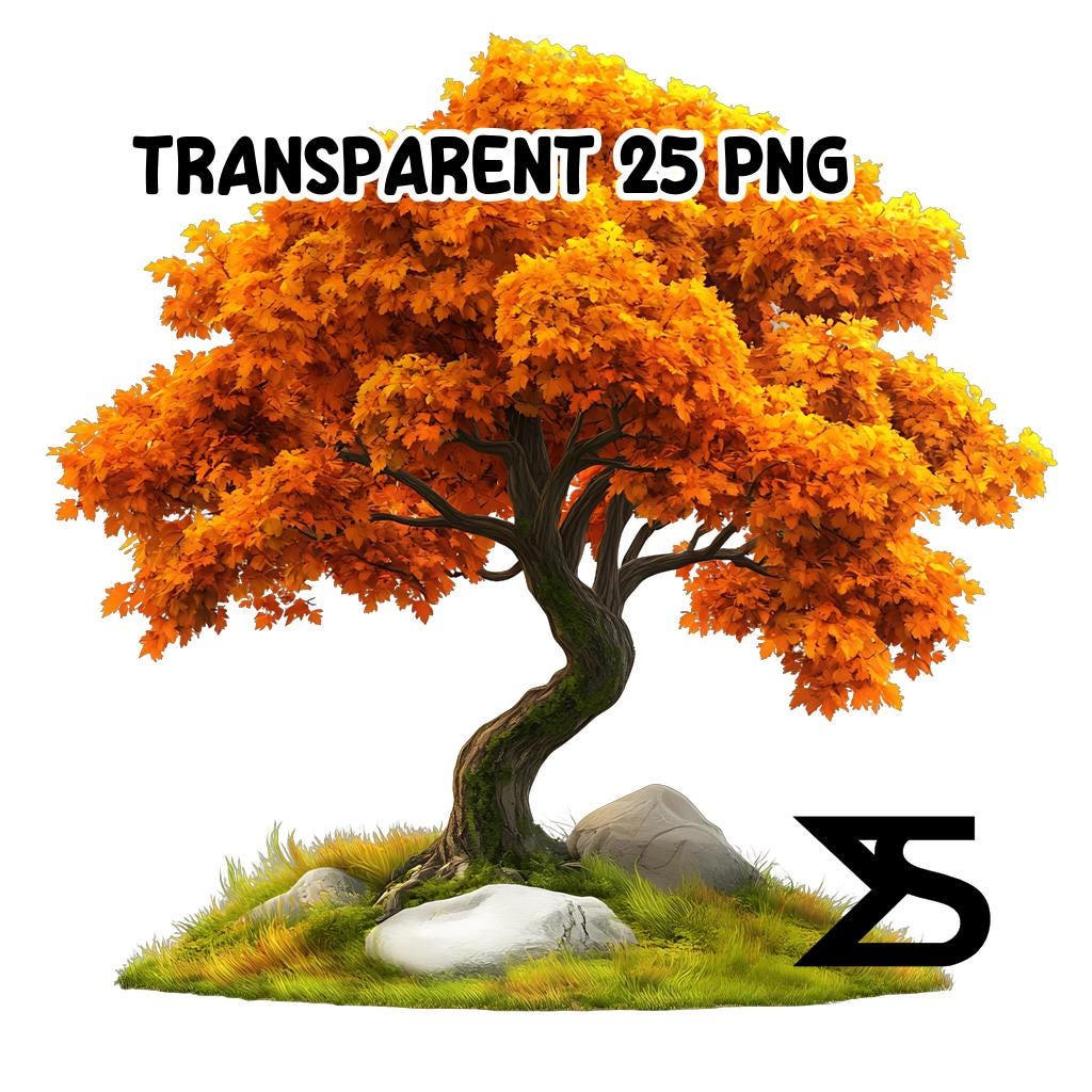 Watercolor Maple Tree PNG Image on Transparent Background, Digital ...